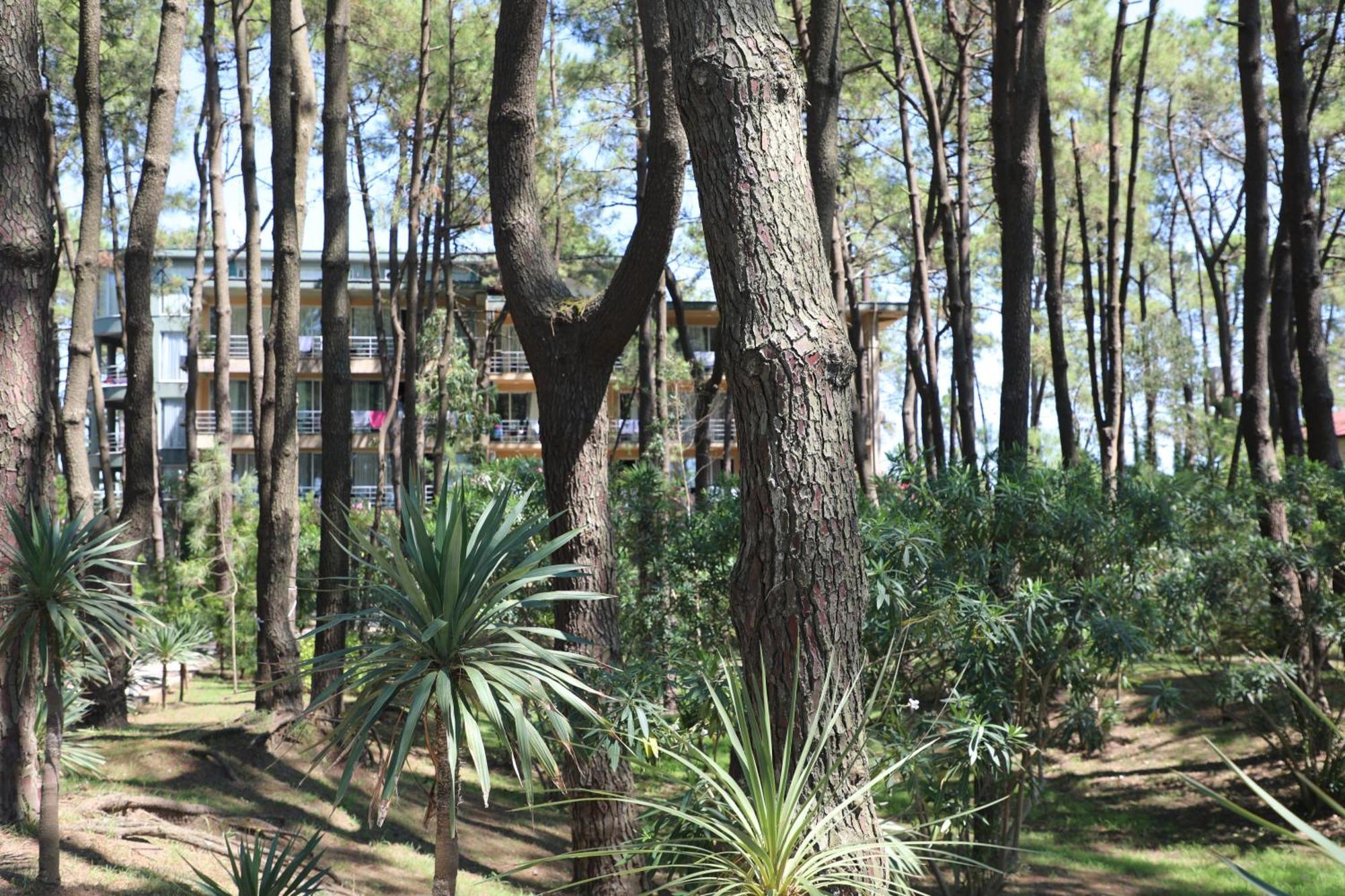 Andamati Beach Resort Grigoleti Εξωτερικό φωτογραφία
